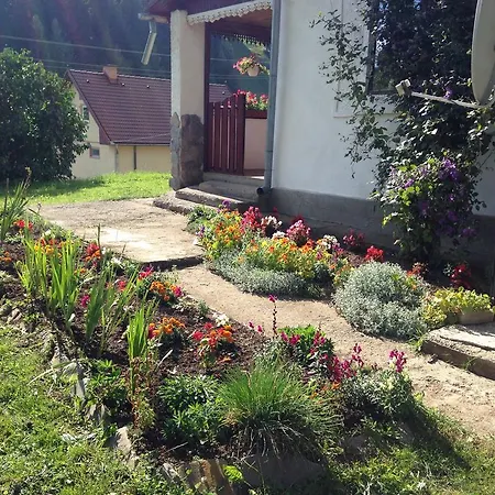 Fintu Vendeghaz Maison d'hôtes Cluj-Napoca