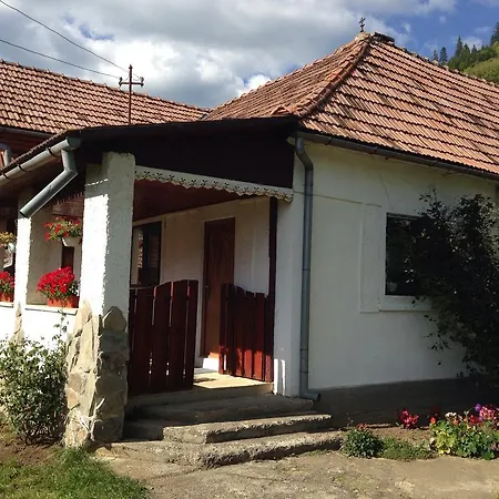 Fintu Vendeghaz Cluj-Napoca