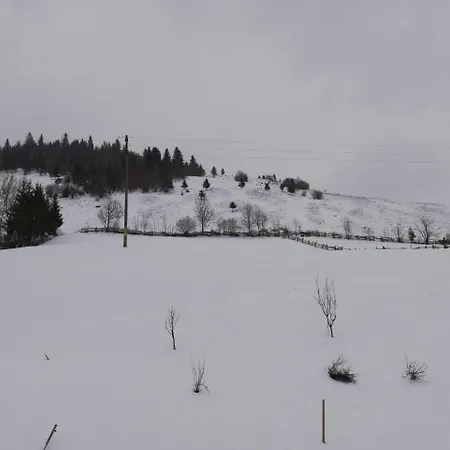 Fintu Vendeghaz
