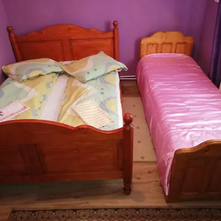 Fintu Vendeghaz Cluj-Napoca